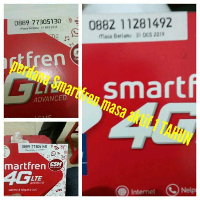 Perdana smartfren masa aktif 1 TAHUN