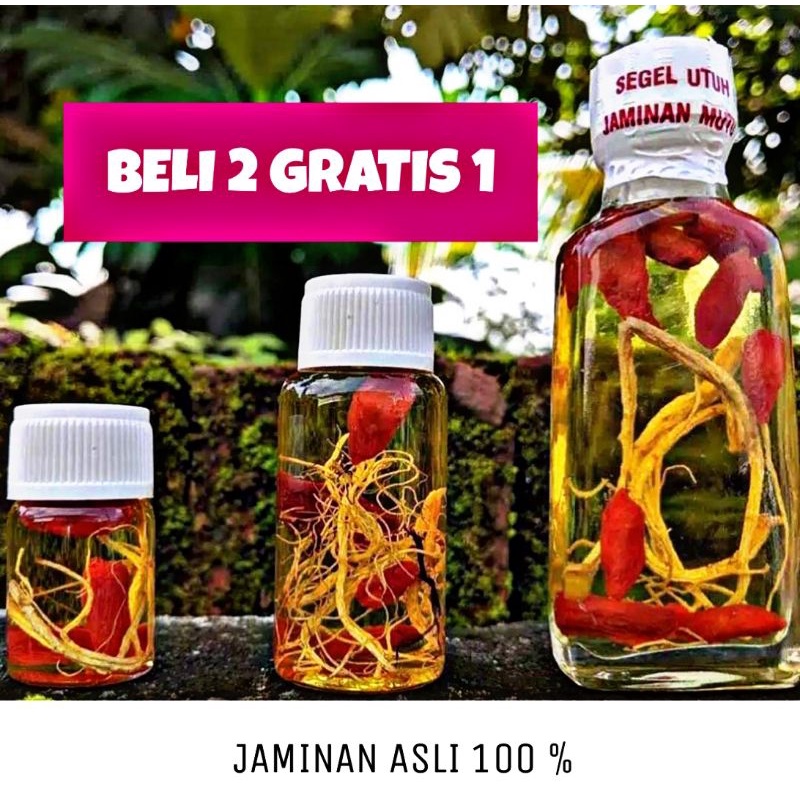 MINYAK BULUS - MINYAK BULUS GINSENG - MINYAK BULUS GINGSENG