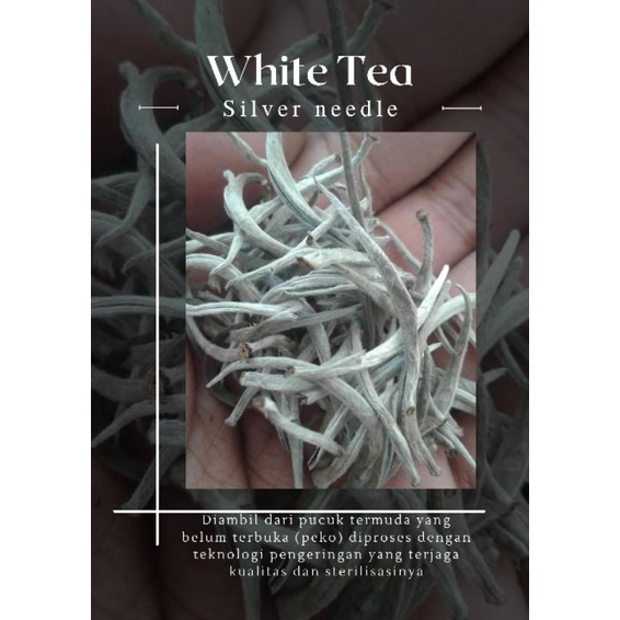 

White tea silverneedle