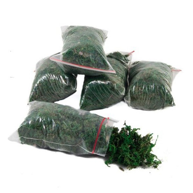 Lumut Artificial Untuk Tanaman Hias Palsu/Lumut Palsu 10gr