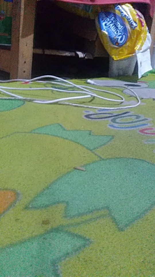 Kapur / Racun Semut & Kecoa - Kapur Ajaib