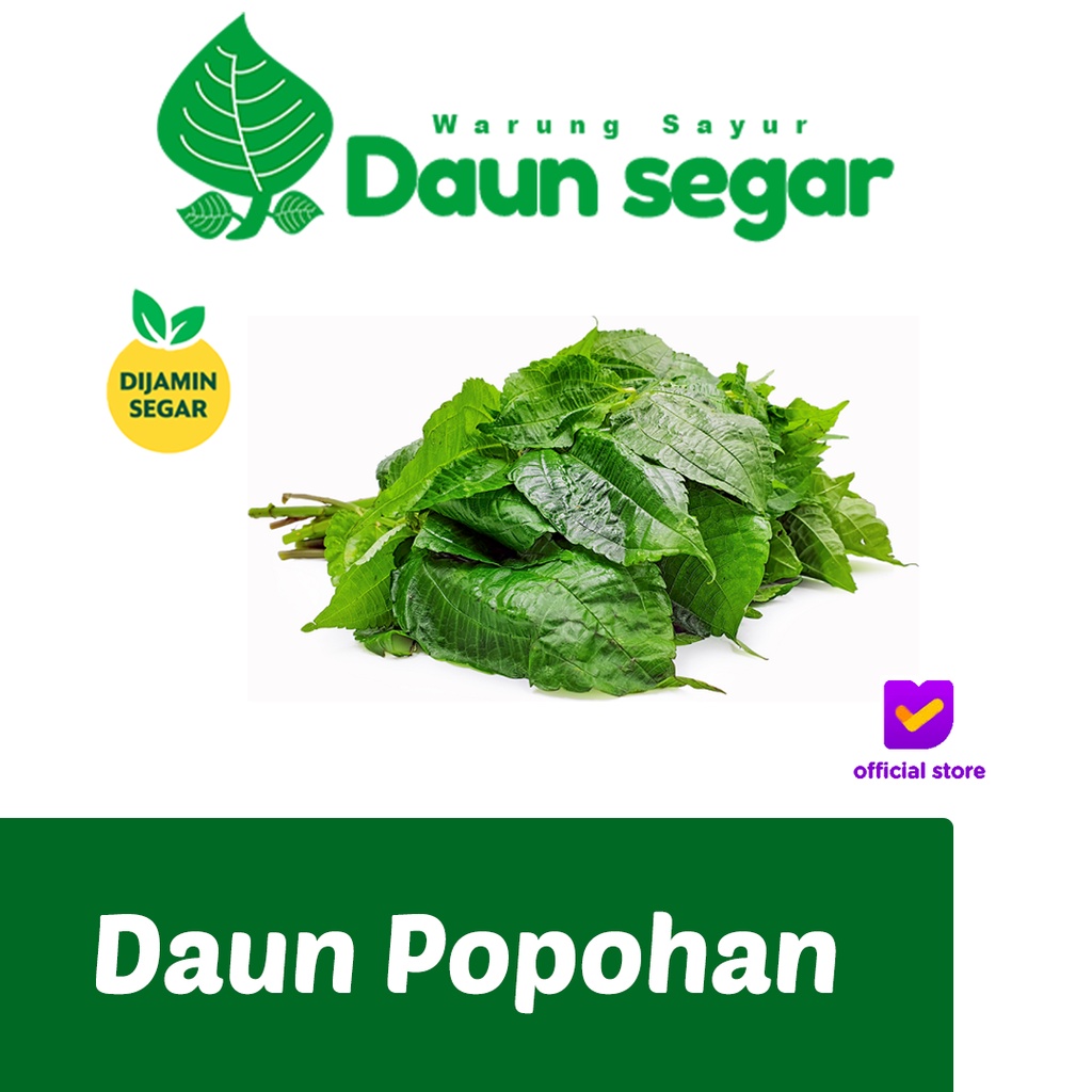 Daun Popohan lalap Per ikat Fresh