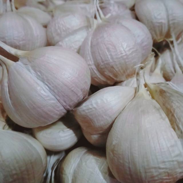

Bawang Kating Super 1 kg