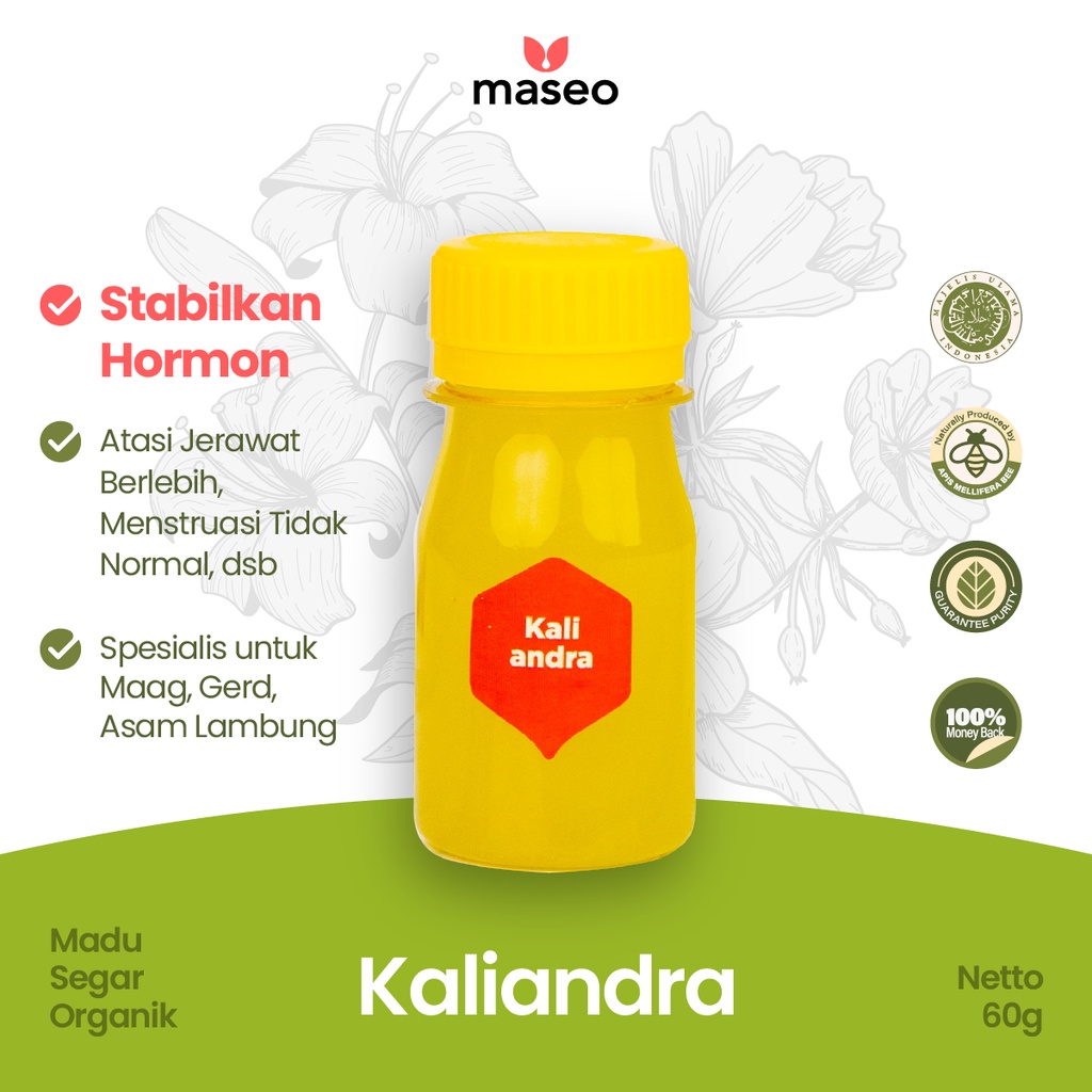 

Madu Asli Kaliandra Maseo Mini Size 60gr | Madu Murni Madu Segar Organik Obat Herbal Asam Lambung Maag Gerd Promil Stabilkan Hormon