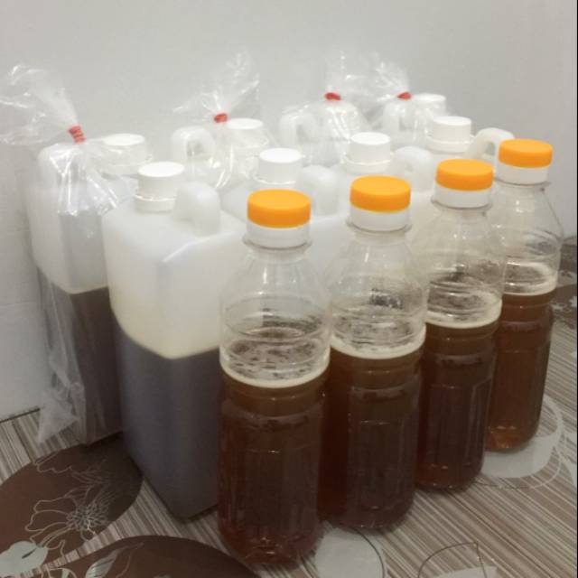 

Madu Hutan