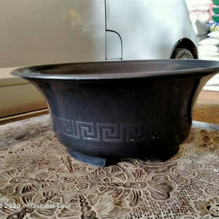 Pot Bonsai 40 cm Hitam Limited