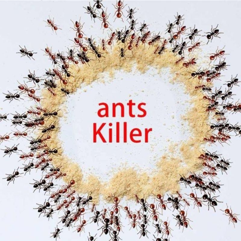 Racun Bubuk Semut Killing Bait Powder Serbuk Obat Pembasmi Sarang Semut Ants Killer