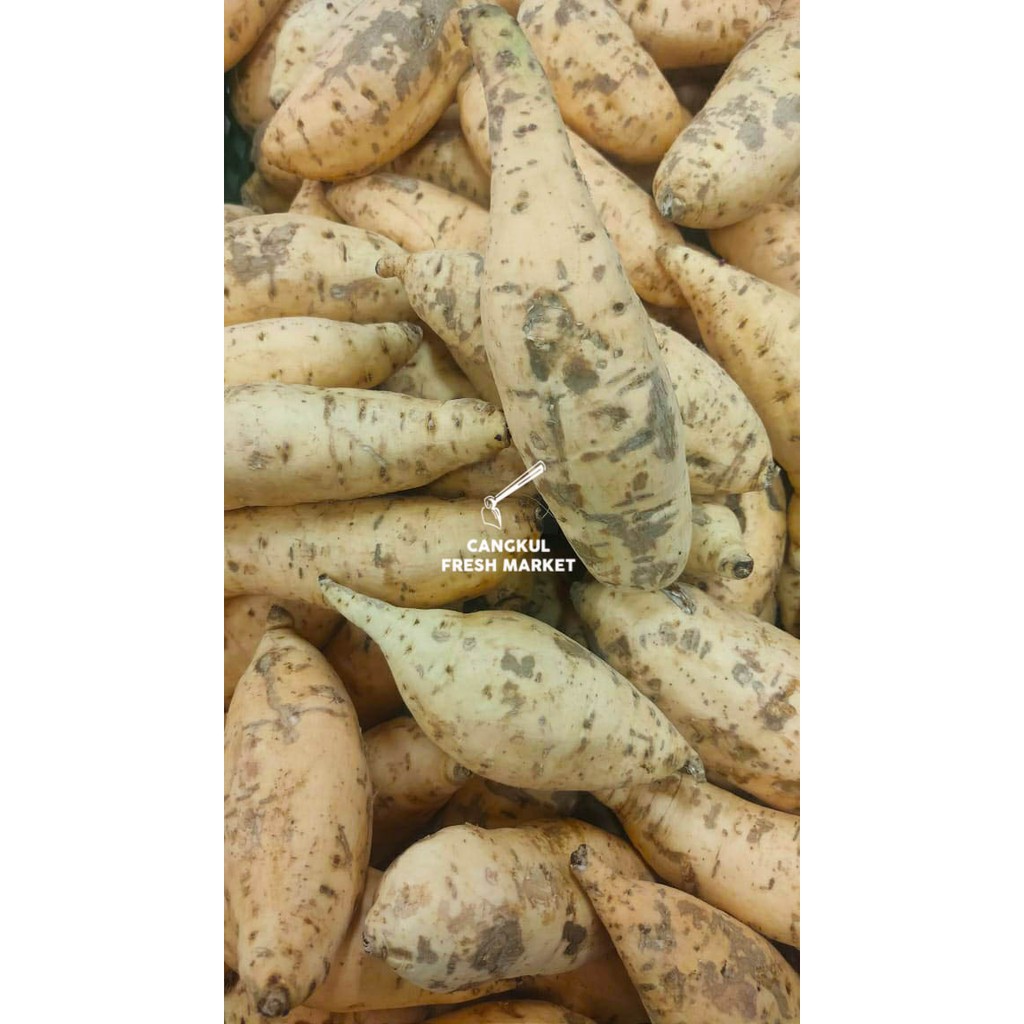

Ubi cilembu 500gr
