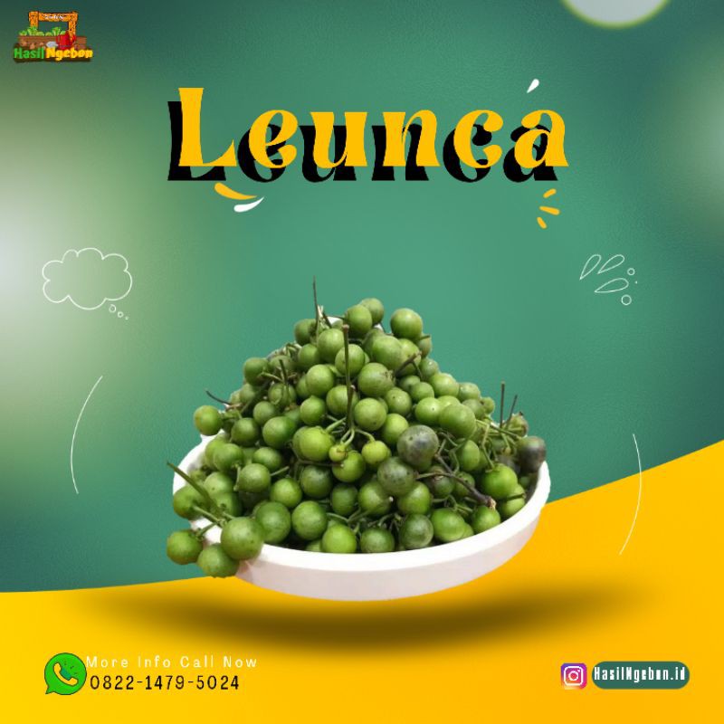 

LEUNCA 500GR