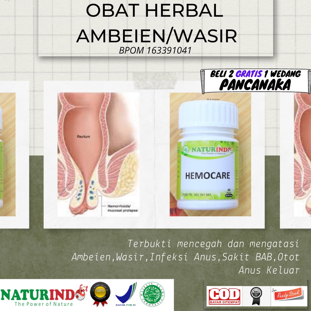 TERLARIS Obat Ambeien Wasir Ambeyen Stadium 4 Ambien Paling Ampuh Herbal Wasir Stadium 4 Ambeien Amb