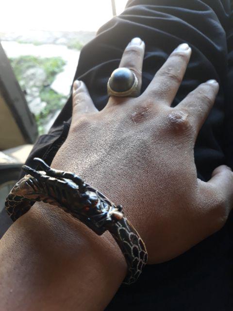 Akar Bahar Merah Cristal Asli Tembus Cahaya Ukir Naga Berkualitas.