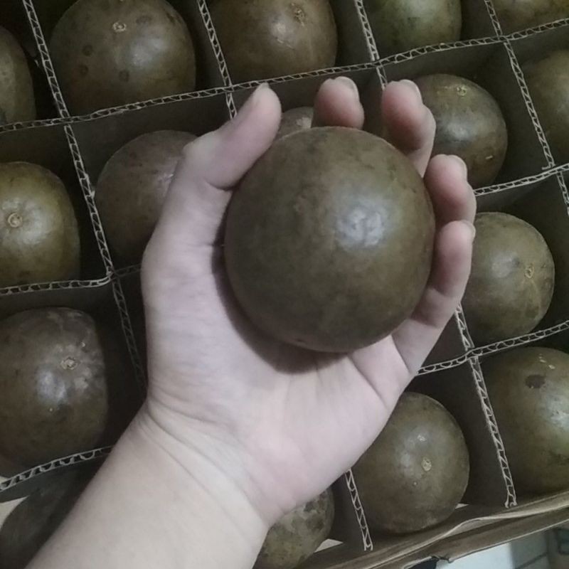 Buah lo han kuo kering - LOHANKUO BUAH