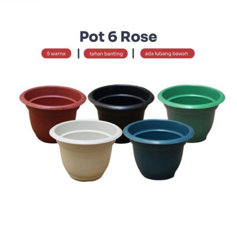 POT BUNGA ROSE MAWAR NO 6 - Diameter 10 CM