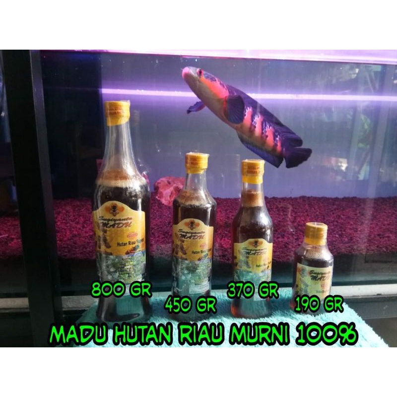

Madu Hutan Riau MURNI || 190gr Madu Sugiyanto