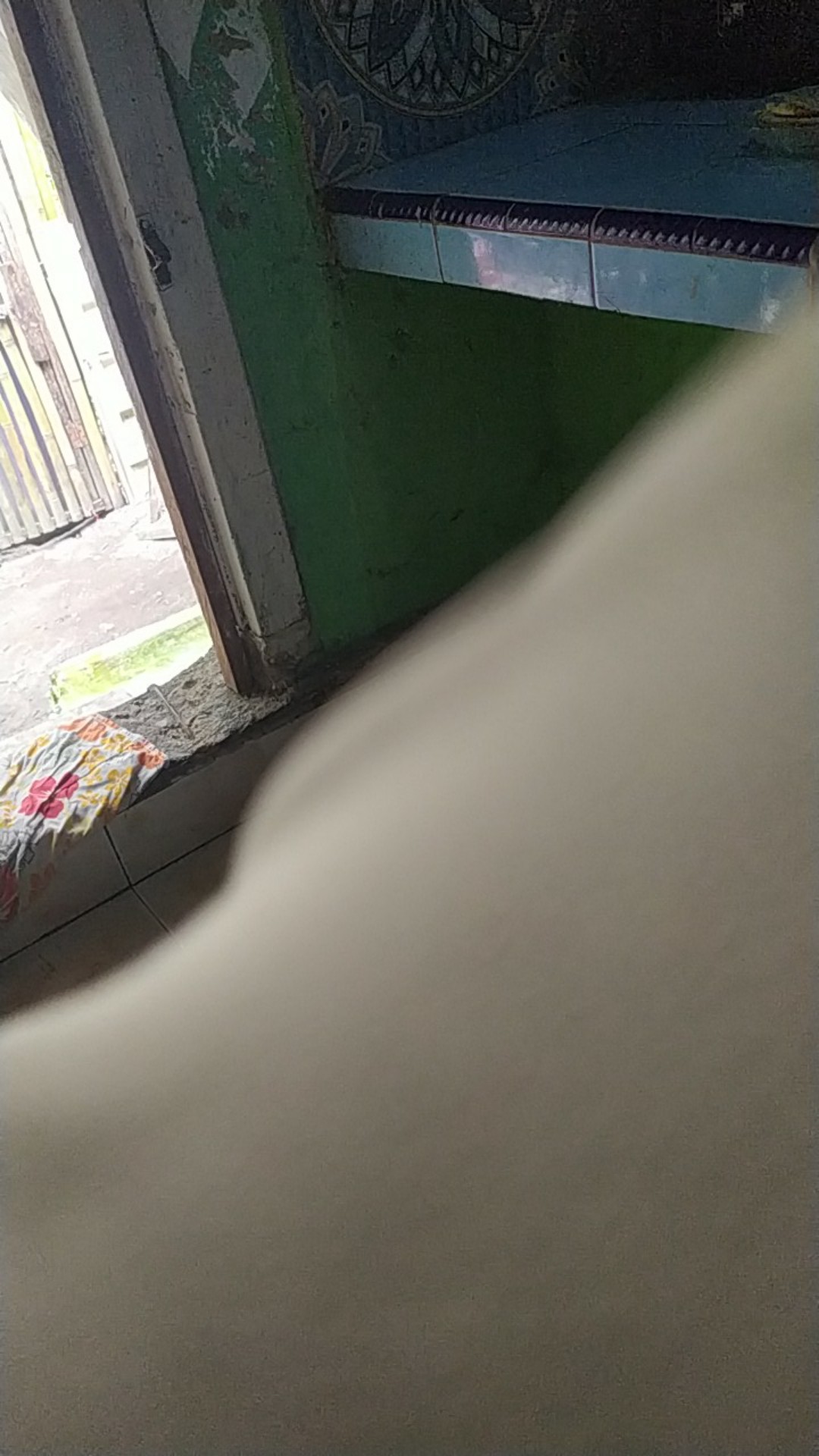 Racun Tikus Kurato Pembasmi Tikus Paling Efektif Didalam Dan Diluar Rumah