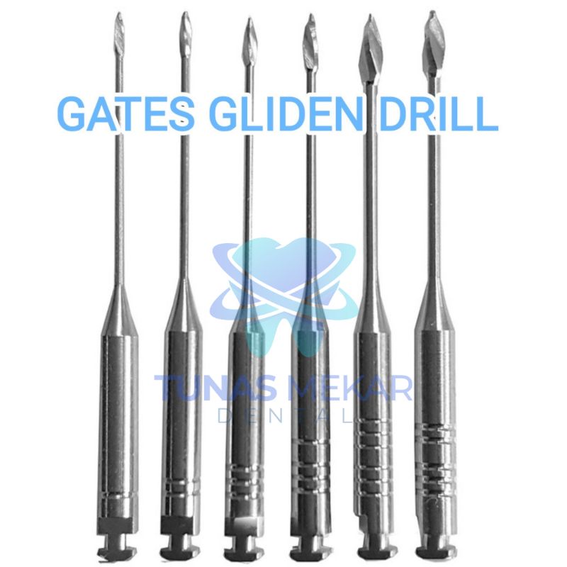Gates Gliden Drill Dril Dental 6pcs