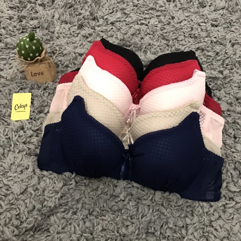 Celcys Bra Art 332 | Bra Kawat Cup B Kait 3 32-40 | BH pori busa Tipis