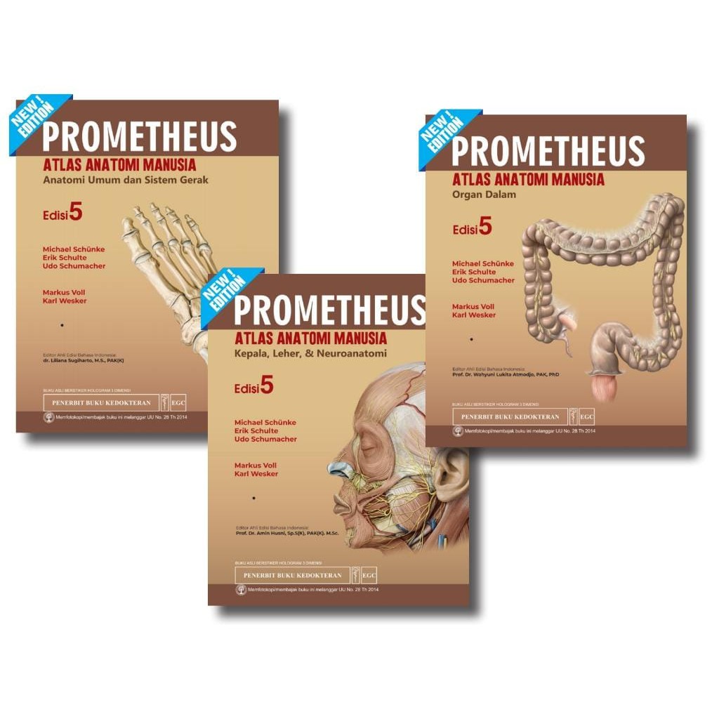 Jual Prometheus Atlas Anatomi Manusia Edisi 5 (3 Buku) | Shopee Indonesia