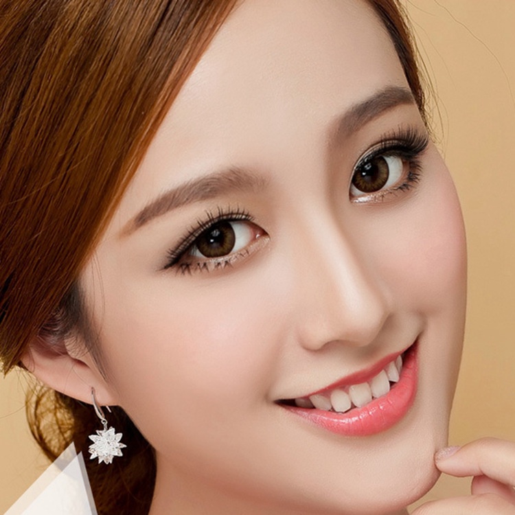 Super Flash zirkon bunga es anting-anting wanita pendek Korea serbaguna elegan anting-anting persona