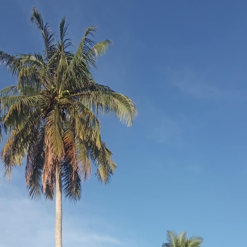 Batik Couple Keluarga Sania Ruffle Ori Ndoro Jowi Dnt Terbaru