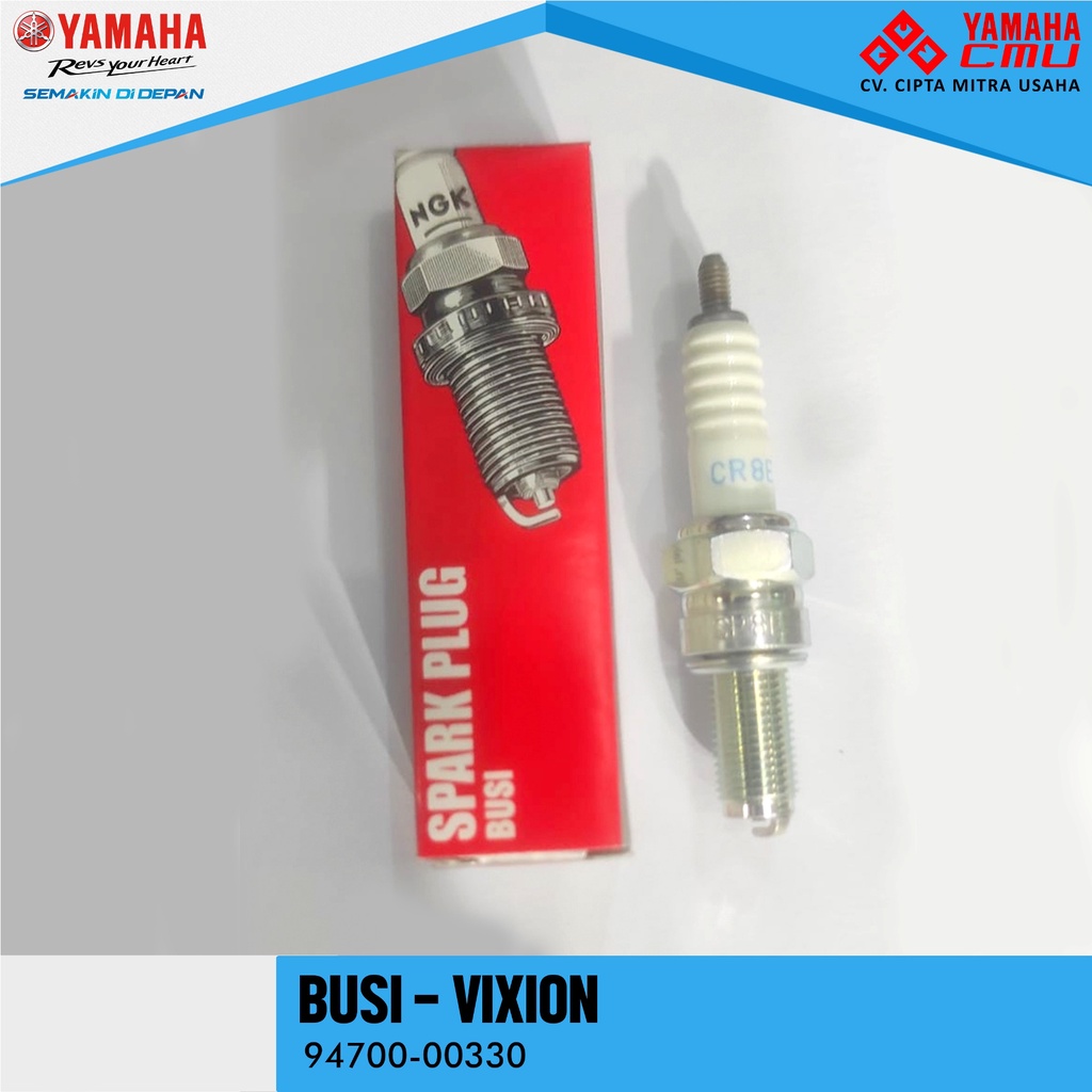 BUSI - VIXION
