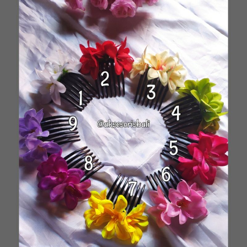 sirkam bunga anggrek bintang