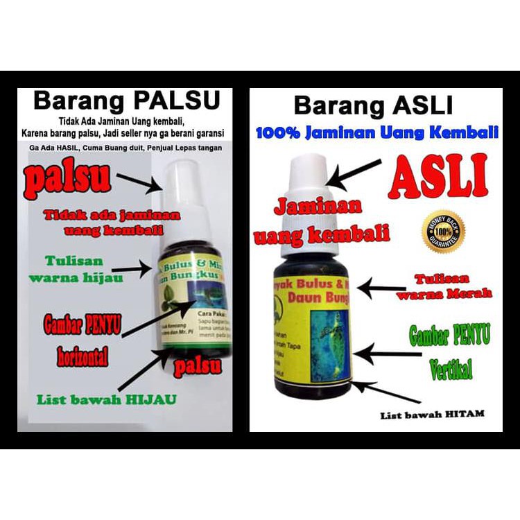 Minyak Bulus Lintah Hitam Daun Bungkus Asli Papua 100 Original Shopee Indonesia