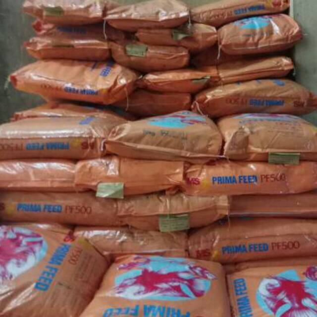 PF500 10 kg pelet ikan Guppy Manfish Molly Neon Tetra Platys Coral Platy Danio Slayer makanan ikan G