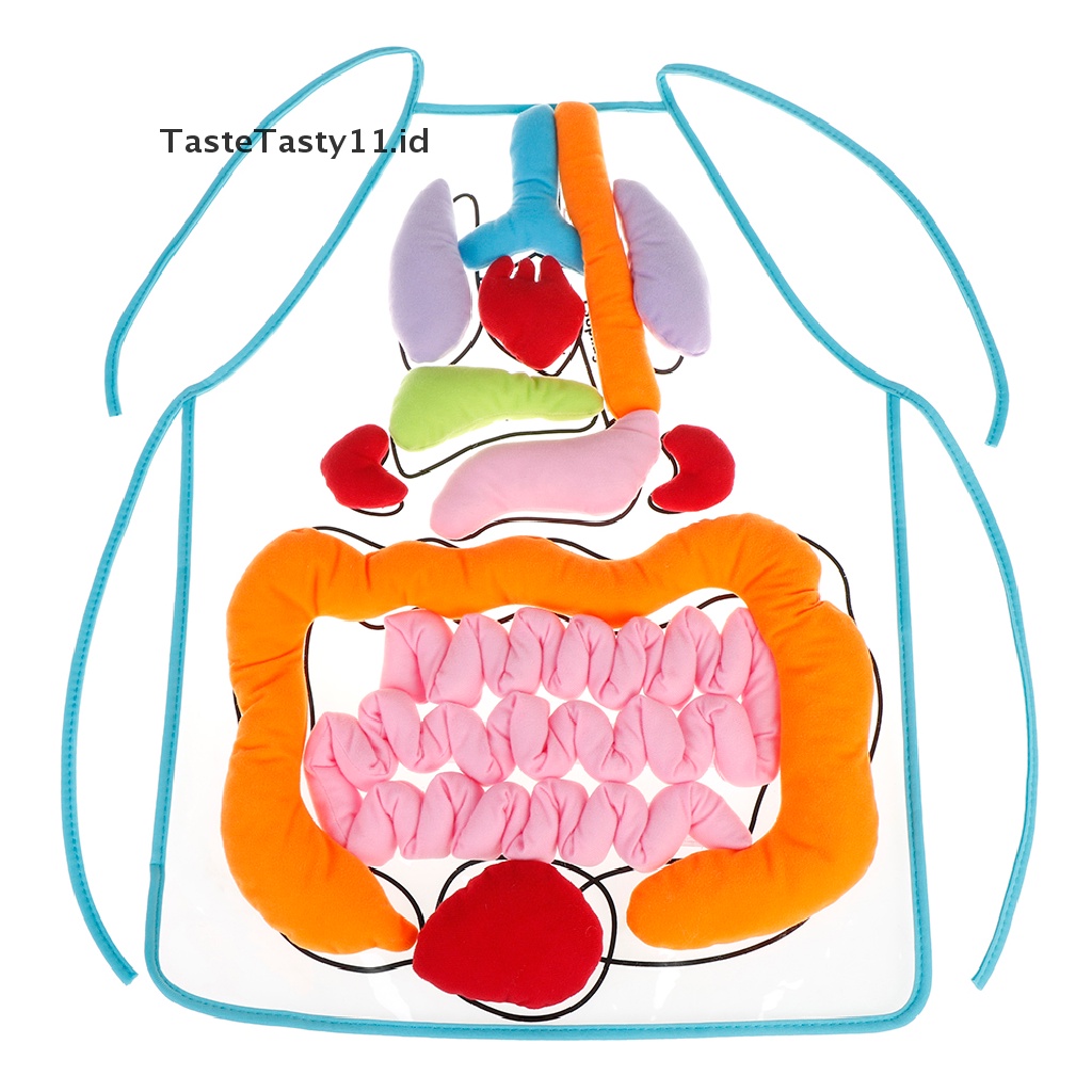 (TasteTasty) Apron / Celemek Motif Organ Tubuh Manusia Untuk Edukasi Anak