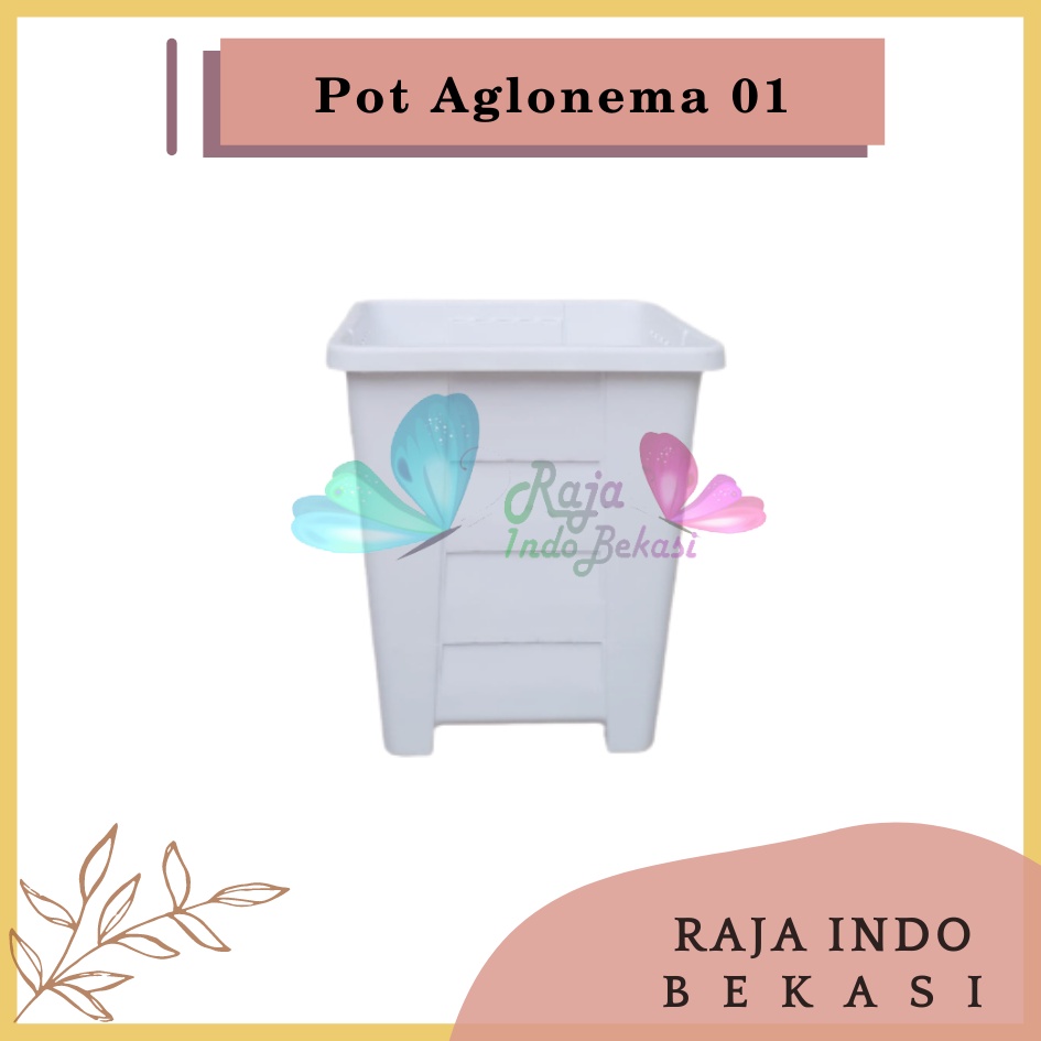 Rajaindobekasi Pot Yogap Kotak 8 10 12 15 Putih Transparan Bening Merah Bata Coklat Terraccota Terakota Orange Pot Segi Empat Hias Pot Yogap 10 13 15 17 18 19 25 30 Pot Yogap Lusinan Pot Kotak Panjang Kecil 8 Cm Tinggi