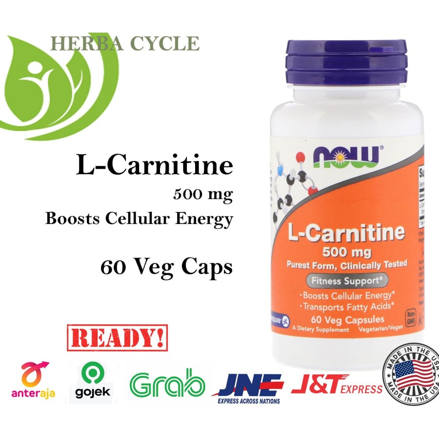 Now Food L Carnitine 500 mg 60 Veg Cap Now Carnitine Naik Energi Ori USA