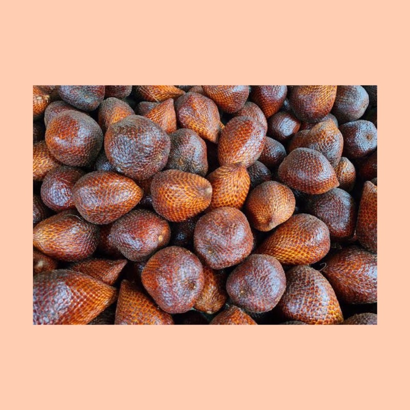 

Buah salak /buah salak manis