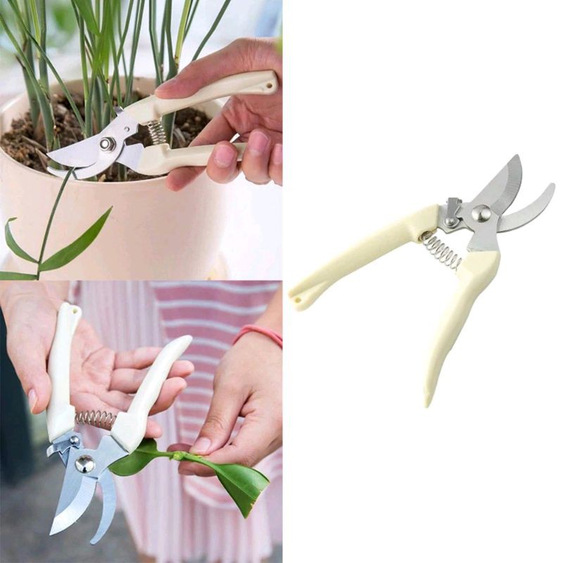 Gunting dahan ranting pruning alat potong dahan ranting stek pruning shears