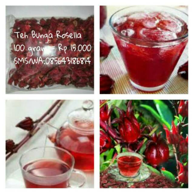 

Teh Bunga Rosella banyak manfaat khasiatnya