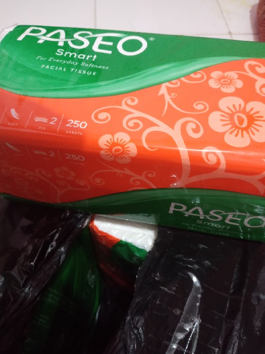 Tissue Paseo Smart 250s 2 Ply