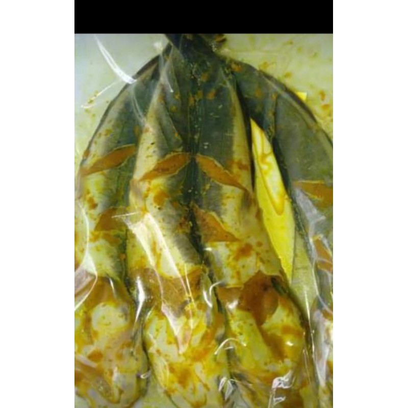 

LESGO(lele siap goreng)