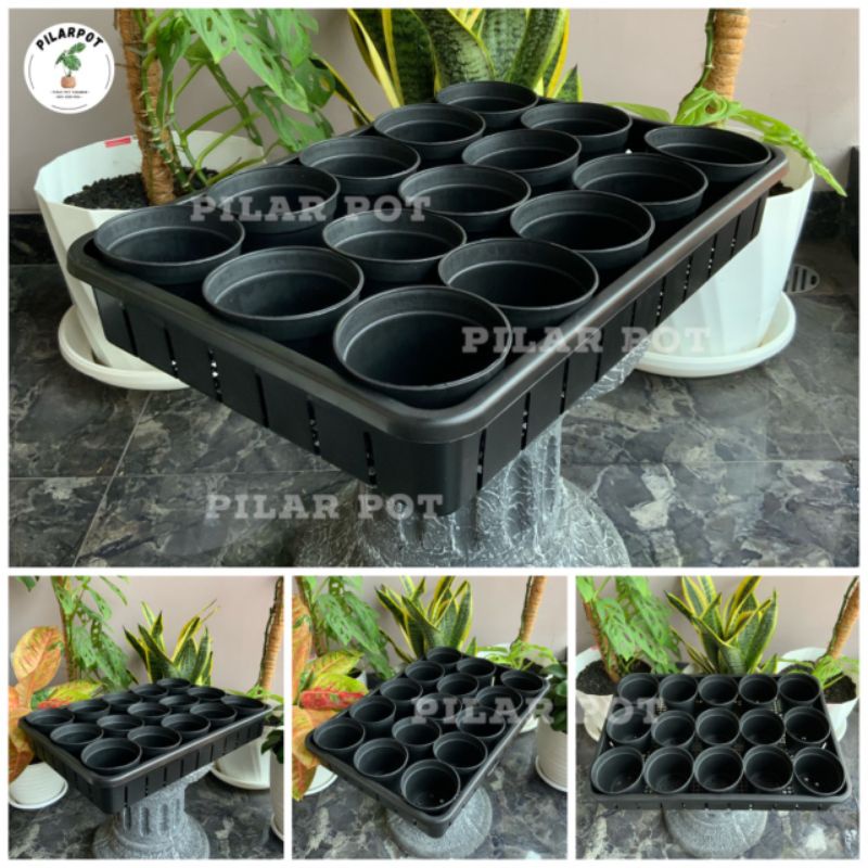 1 SET TRAY + 15 PCS POT HITAM 10CM | TRAY POT NKT 50CM | TRAY SEMAI BIBIT