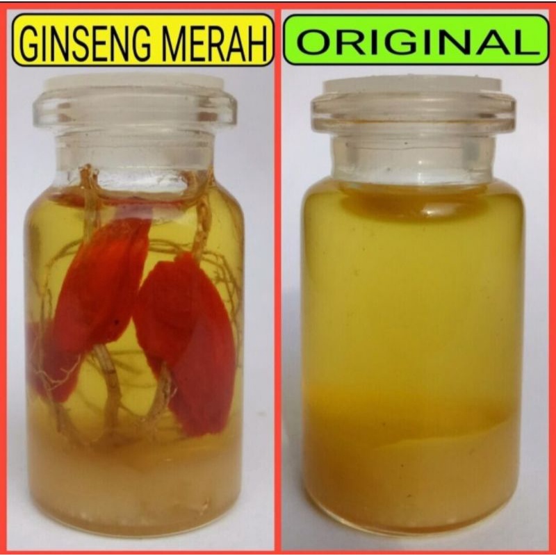 MINYAK BULUS RISMA VARIAN ORIGINAL DAN GINSENG MERAH