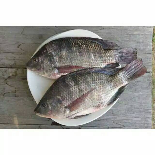 

Ikan nila segar 500 grm/ikan tawar/ pasar murah Bandung