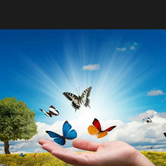 1fikridzakisyukriansyah