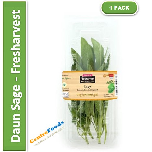 

Daun Sage | Fresharvest [ Harga Per PACK ]