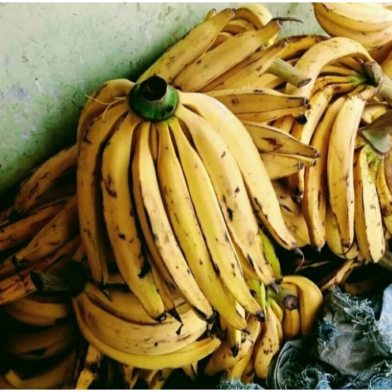 

Pisang Tanduk Super Perbuah