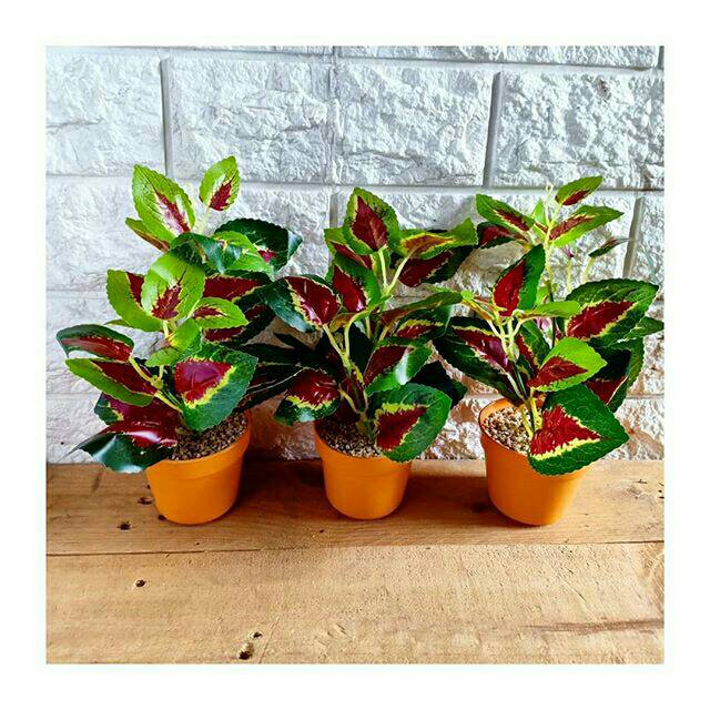 Daun plastik miana/daun plastik bunga plastik bunga palsu dekorasi rumah