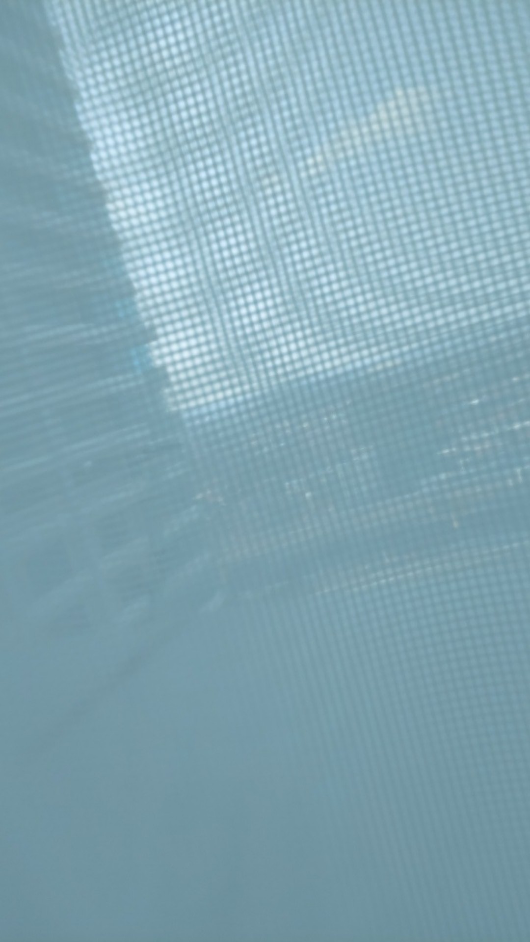 Diy Cetakan Dengan Bahan Anti-lengket Dan Bentuk Kura-kura Untuk Kue / Cookie / Fondant