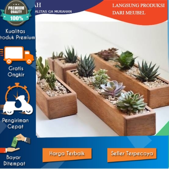 Pot Kotak Kayu Panjang Kaktus Sukulen