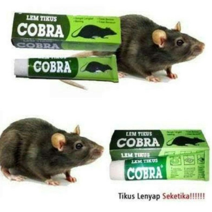 Lem Tikus Cobra 100 % Original Lem Perekat Jebakan Tikus Terlaris!!! - Lem Cobra