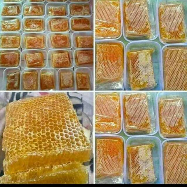 

Sarang madu melifera