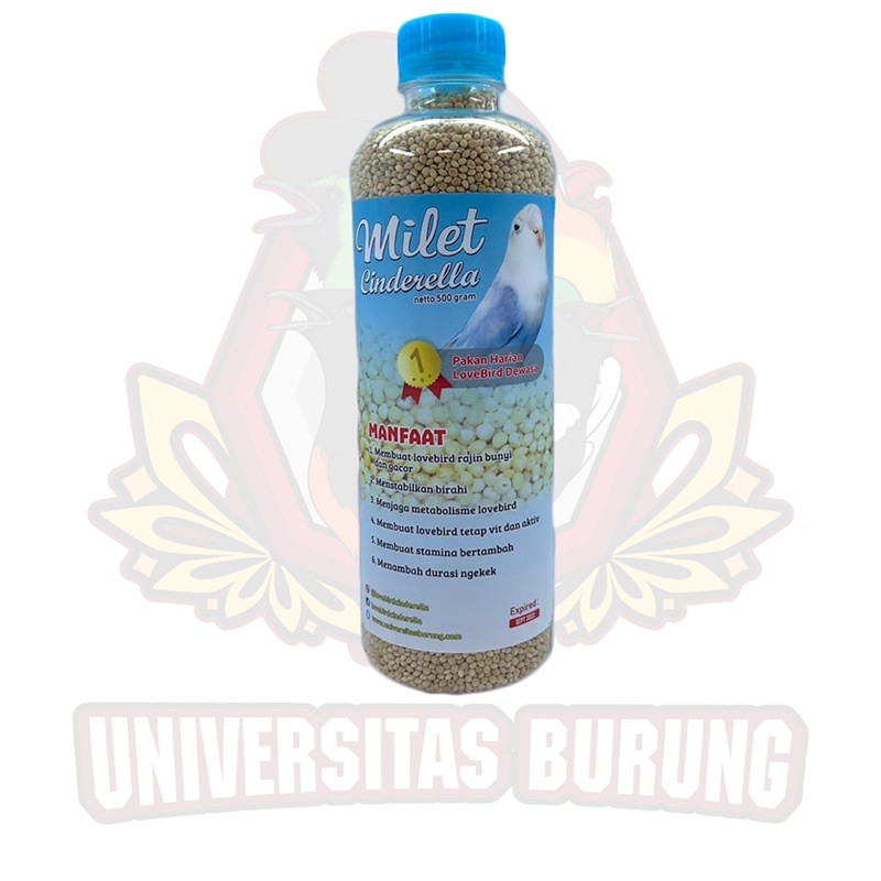 Paket dewasa untulan  (cinderella + level 2 + sup plus )