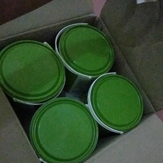 Cat Tembok Plafon Aries Gold 4,5kg Avian Brands