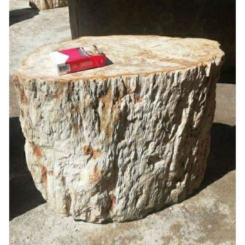 Kursi Batu Fosil Kayu Natural
